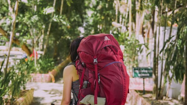person with red trekker backpack standing on pathway surrounded with tall and green trees during daytime